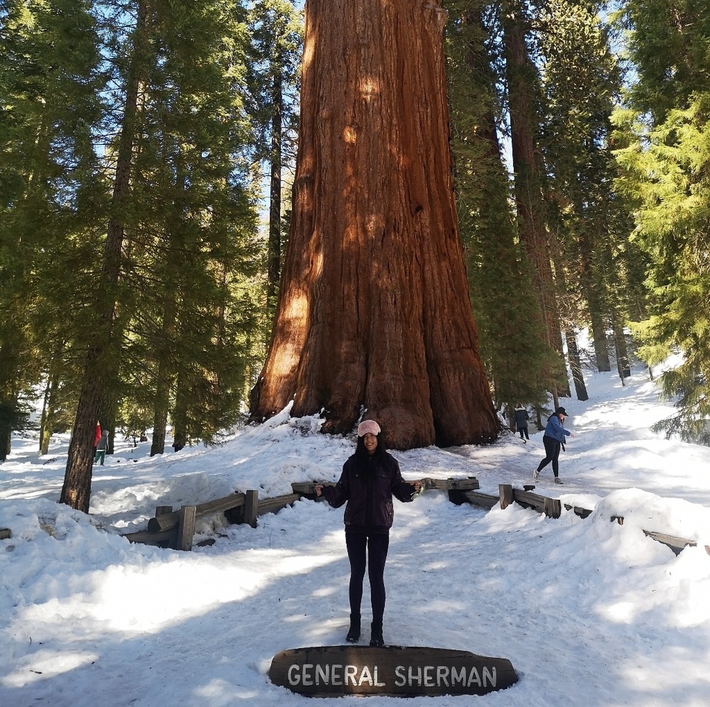 Meet your Posher, Scarlett